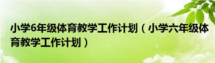 小学6年级体育教学工作计划（小学六年级体育教学工作计划）