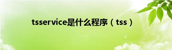 tsservice是什么程序（tss）