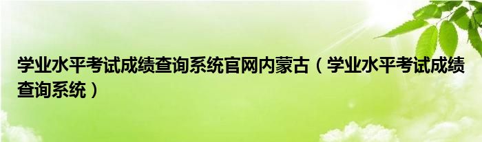 学业水平考试成绩查询系统官网内蒙古（学业水平考试成绩查询系统）