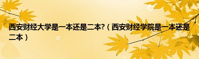 西安财经大学是一本还是二本?（西安财经学院是一本还是二本）