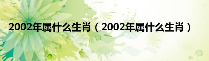 2002年属什么生肖（2002年属什么生肖）