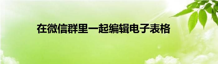 在微信群里一起编辑电子表格