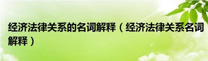 经济法律关系的名词解释（经济法律关系名词解释）