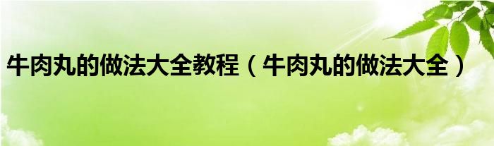 牛肉丸的做法大全教程（牛肉丸的做法大全）