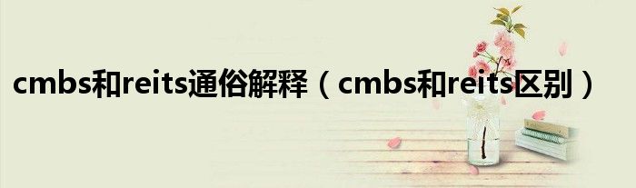 cmbs和reits通俗解释（cmbs和reits区别）