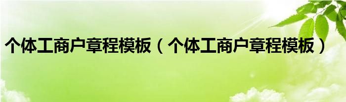 个体工商户章程模板（个体工商户章程模板）