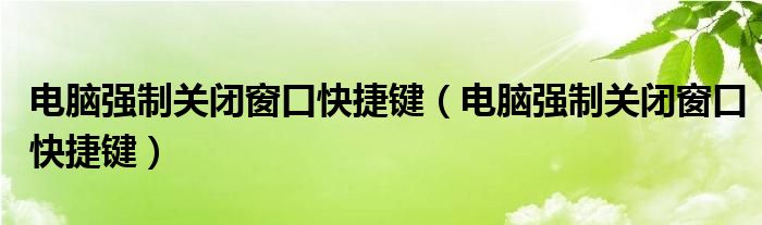 电脑强制关闭窗口快捷键（电脑强制关闭窗口快捷键）