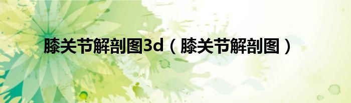 膝关节解剖图3d（膝关节解剖图）