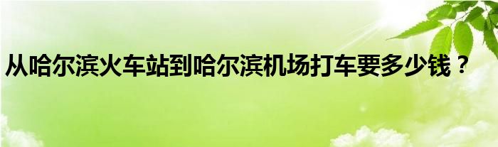 从哈尔滨火车站到哈尔滨机场打车要多少钱？