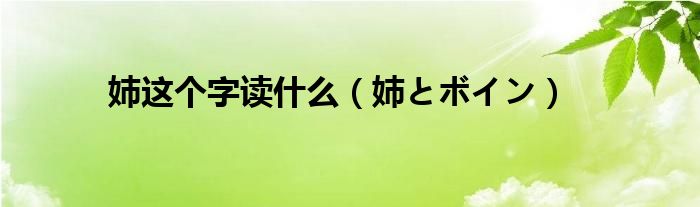 姉这个字读什么（姉とボイン）