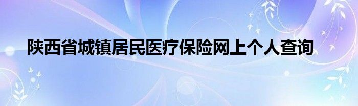 陕西省城镇居民医疗保险网上个人查询