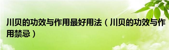 川贝的功效与作用最好用法（川贝的功效与作用禁忌）