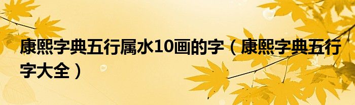 康熙字典五行属水10画的字（康熙字典五行字大全）