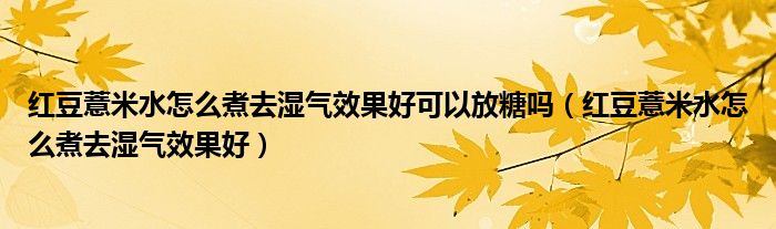 红豆薏米水怎么煮去湿气效果好可以放糖吗（红豆薏米水怎么煮去湿气效果好）