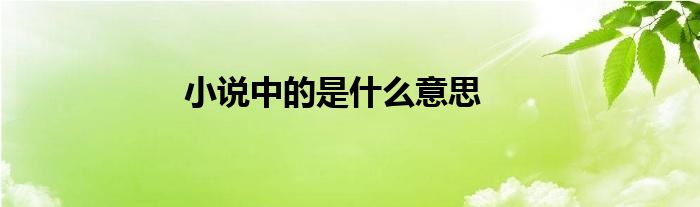 小说中的是什么意思