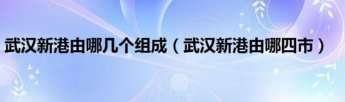 武汉新港由哪几个组成（武汉新港由哪四市）