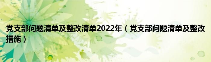 党支部问题清单及整改清单2022年（党支部问题清单及整改措施）