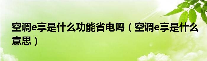 空调e享是什么功能省电吗（空调e享是什么意思）