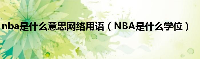 nba是什么意思网络用语（NBA是什么学位）