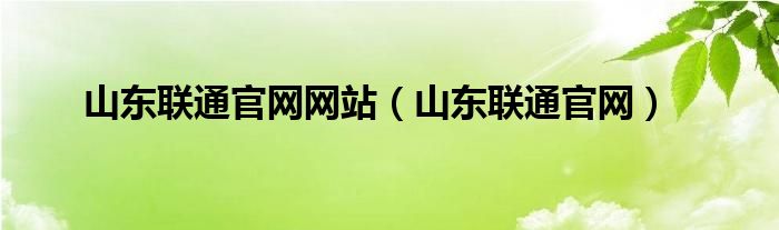 山东联通官网网站（山东联通官网）