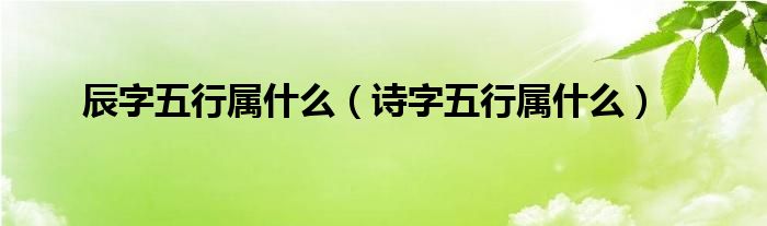 辰字五行属什么（诗字五行属什么）