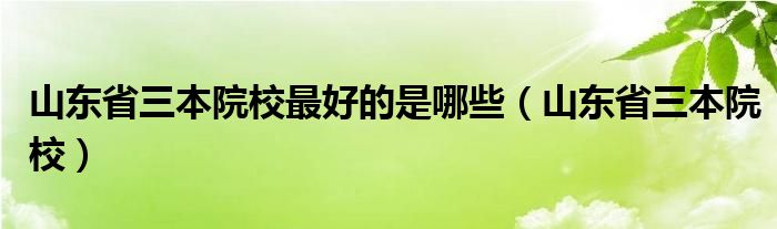 山东省三本院校最好的是哪些（山东省三本院校）