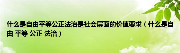 什么是自由平等公正法治是社会层面的价值要求（什么是自由 平等 公正 法治）