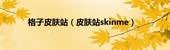 格子皮肤站（皮肤站skinme）