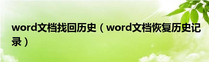 word文档找回历史（word文档恢复历史记录）