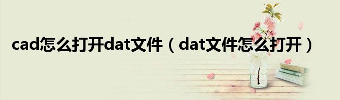 cad怎么打开dat文件（dat文件怎么打开）