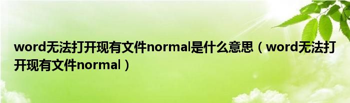 word无法打开现有文件normal是什么意思（word无法打开现有文件normal）