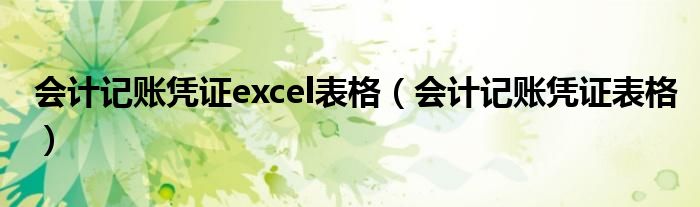 会计记账凭证excel表格（会计记账凭证表格）