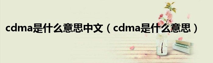 cdma是什么意思中文（cdma是什么意思）