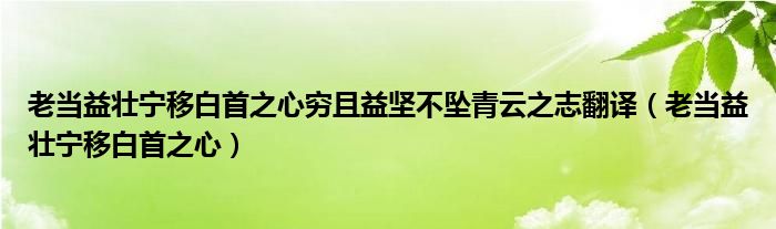 老当益壮宁移白首之心穷且益坚不坠青云之志翻译（老当益壮宁移白首之心）