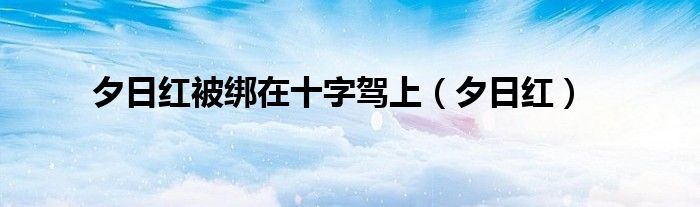 夕日红被绑在十字驾上（夕日红）