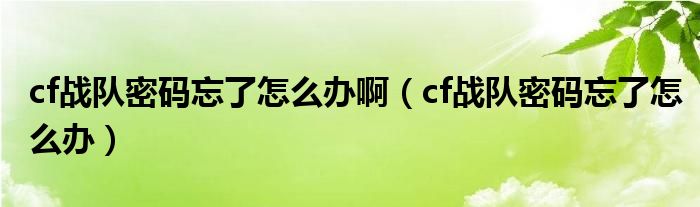 cf战队密码忘了怎么办啊（cf战队密码忘了怎么办）