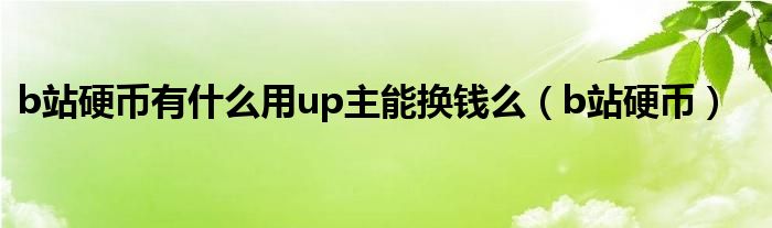 b站硬币有什么用up主能换钱么（b站硬币）