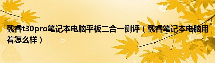 戴睿t30pro笔记本电脑平板二合一测评（戴睿笔记本电脑用着怎么样）