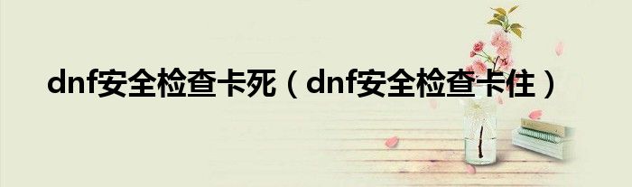 dnf安全检查卡死（dnf安全检查卡住）