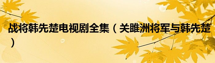 战将韩先楚电视剧全集（关雎洲将军与韩先楚）