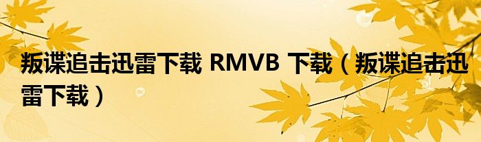 叛谍追击迅雷下载 RMVB 下载（叛谍追击迅雷下载）