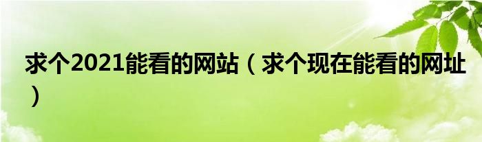 求个2021能看的网站（求个现在能看的网址）