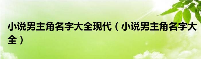 小说男主角名字大全现代（小说男主角名字大全）