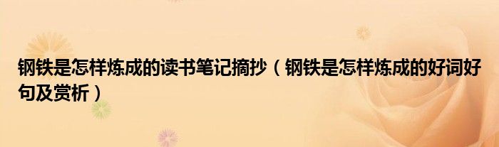 钢铁是怎样炼成的读书笔记摘抄（钢铁是怎样炼成的好词好句及赏析）