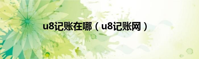 u8记账在哪（u8记账网）