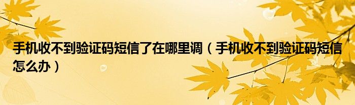 手机收不到验证码短信了在哪里调（手机收不到验证码短信怎么办）