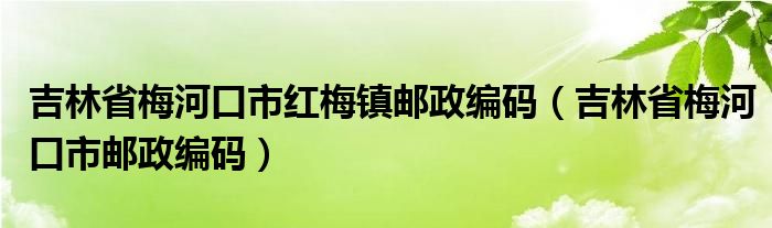 吉林省梅河口市红梅镇邮政编码（吉林省梅河口市邮政编码）