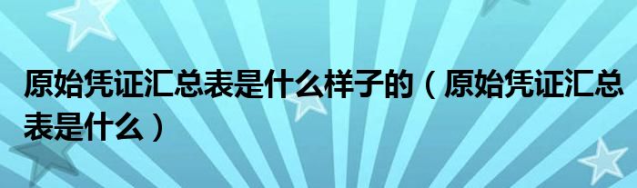 原始凭证汇总表是什么样子的（原始凭证汇总表是什么）