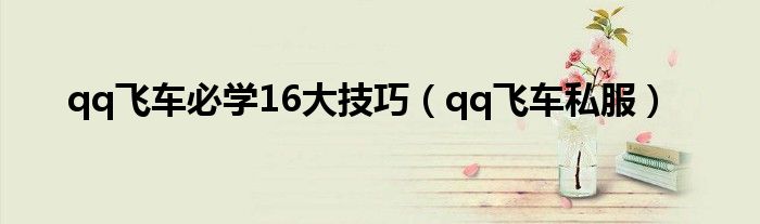 qq飞车必学16大技巧（qq飞车私服）