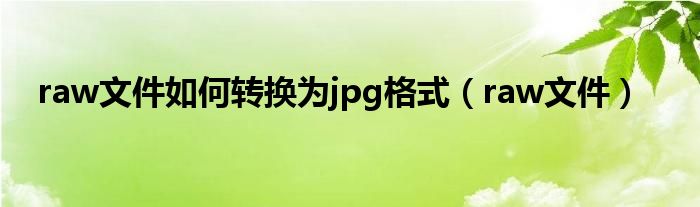 raw文件如何转换为jpg格式（raw文件）